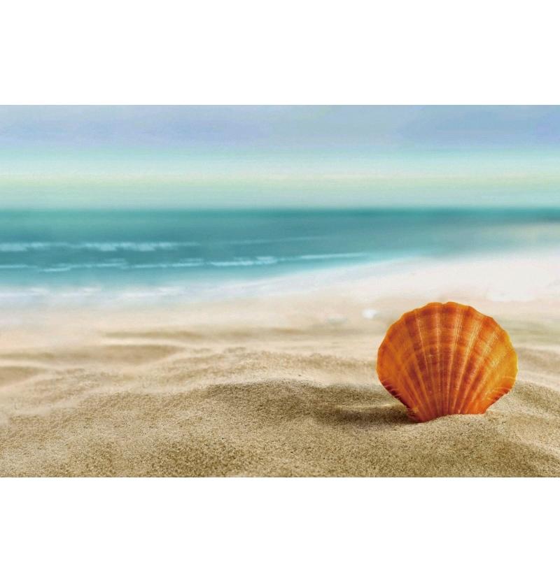 Tropical Beach Backdrop Decoration Seashell Starfish Summer Vacation For Pool Party Celebration Backgrounds For Photographs