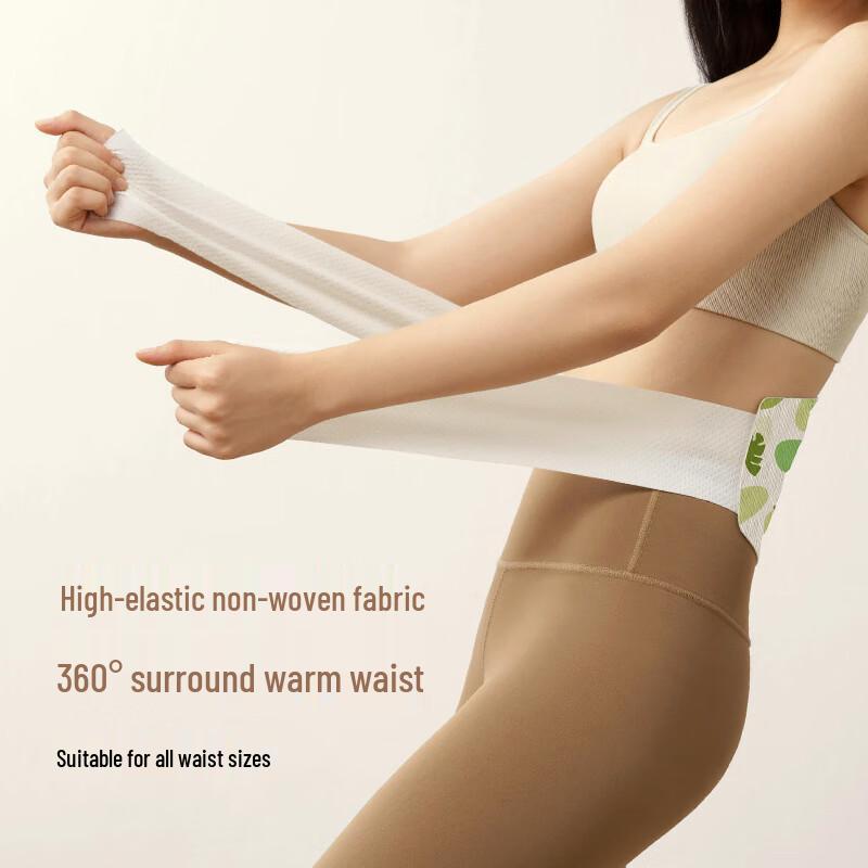 Self-Heating Wormwood Waist Patch