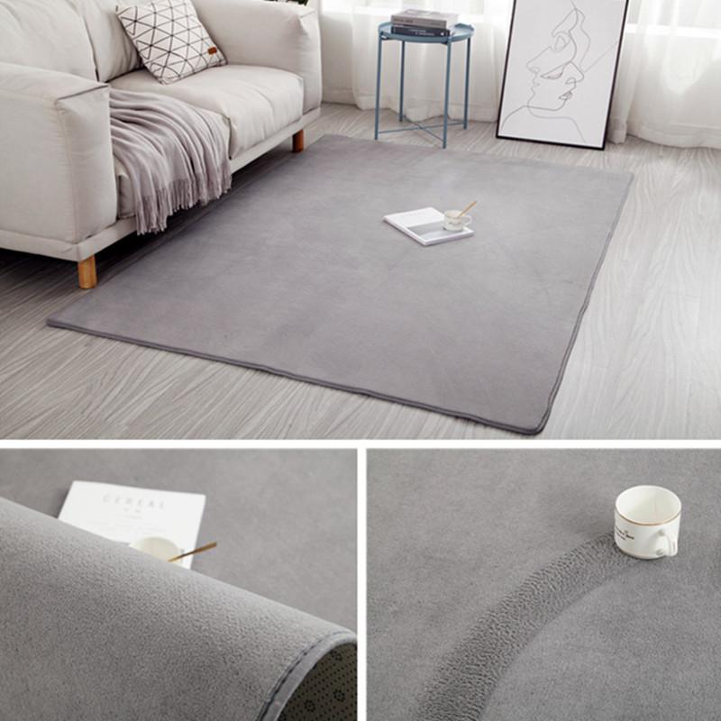 2025 Carpet Living Room Simple Modern Bedroom Plush Carpet Nordic Tatami Carpet