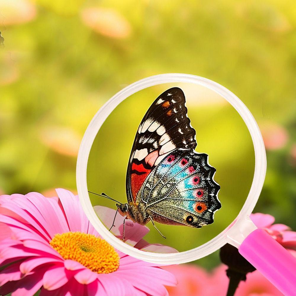 Creative Handheld Magnifying Glass Lightweight Baby Early Education Toys  Tiny Objects