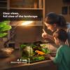 Reptile Glass Terrarium With Stone Background Front Ventilation Escape Proof Knob Lock 30 X 20 X 20 Cm Black