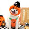 Dog Clothing Halloween Clothes Suit Outfit Costumes Outfits Pet Costume Puppy Chihuahua Dogs Costum Accessories Supplies Home