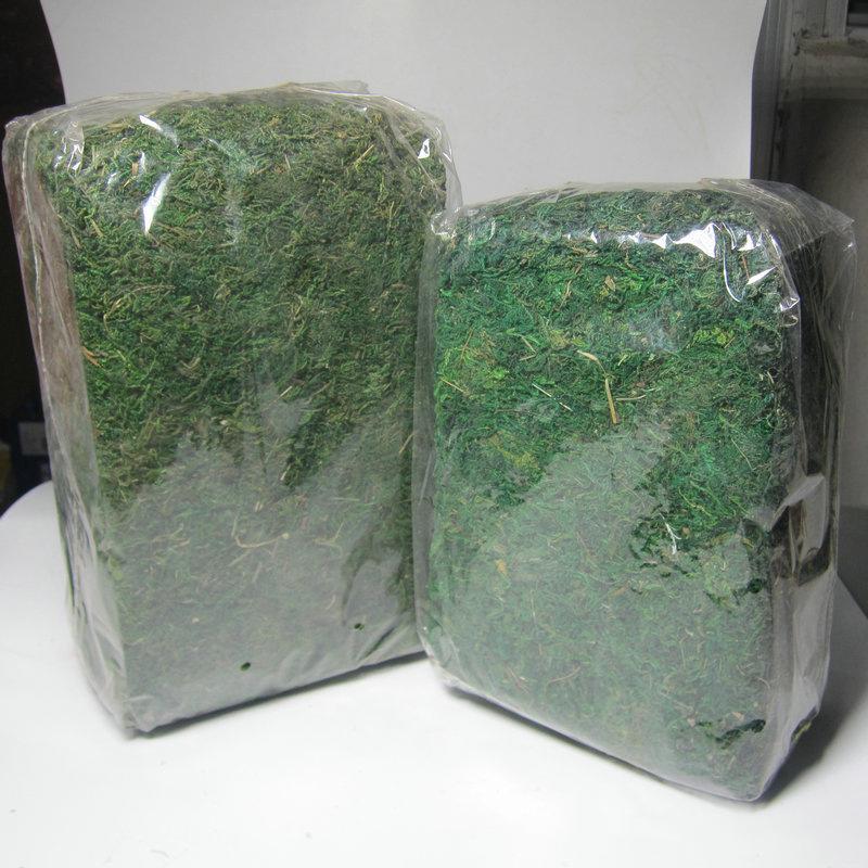 Moss Decoration for Flower & Micro-Landscape