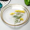 Modern Hammered Glass Fruit Plate Bowl Coffee Table Salad Bowl Western Steak Plate Creative Plate Tableware Japanese Style