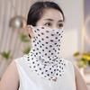 Korean Style Veil Scarf: Full Face & Ear Protection, Trendy Thin Gauze Scarf, Versatile Lolo Set for Women