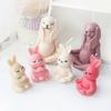 Yoga Animal Silicone Mold 3D Pug Prayer Meditating Rabbit Mould Praying Turtle DIY Mold Scented Candle Pet Plaster Resin Mold
