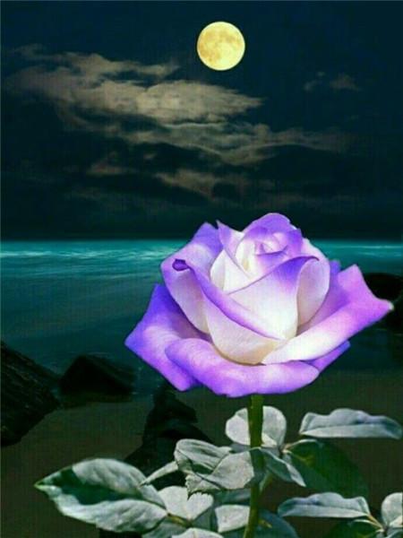 5D DIY Алмазная картина Новый цветок Роза Стразы Алмазная вышивка Распродажа Пейзаж Приморская мозаика Домашний декор