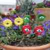 Outdoor Garden Patio Colorful Simulation Eyes Set Of 6 Flower Arrangement Rustic Resin Insert Decorative Ornament