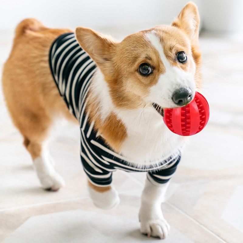 Игрушки для собак из натурального каучука, жевательные игрушки для собак, мяч для чистки зубов, сверхпрочный интерактивный эластичный мяч для товаров для домашних животных