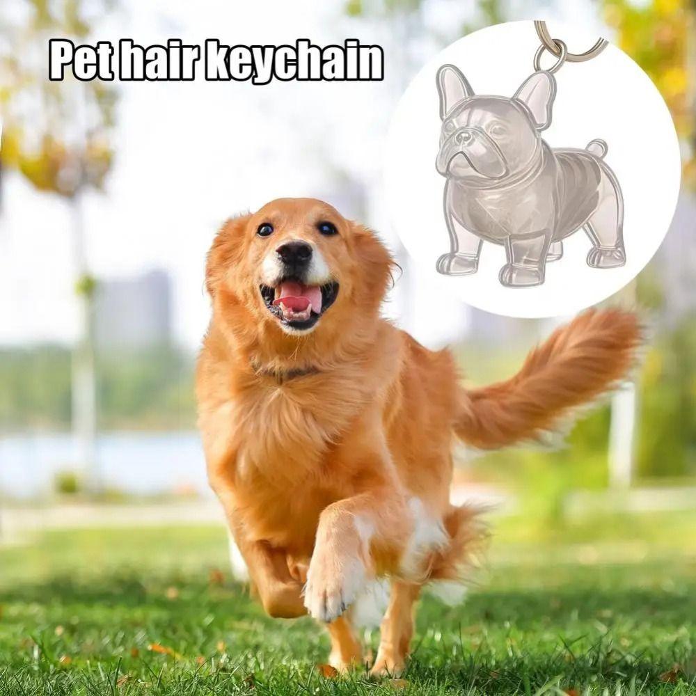 Коробка для хранения собачьей шерсти в форме собаки, уход за шерстью, щенячьи подвески, мультяшный брелок для питомца, ювелирный подарок