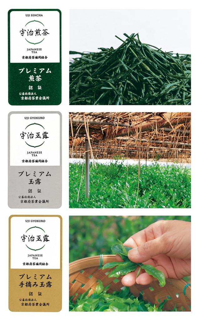 Kyoto Ujitawara Tea Factory First Prize Sencha 100g Premium Sencha Uji Sencha Green Tea Tea Leaves Japanese Tea Sencha 209
