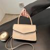 Premium Commuter Handbag 2025 Spring New Versatile Ins Shoulder Messenger Bag Temperament Small Square Bag Simple