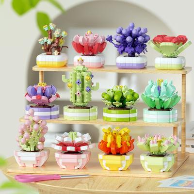 Carden Toys Горшечный суккулент кактус Мини строительные блоки Игрушки для девочек Цветы Блоки Подарки на День благодарения