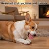 Собачья воланчик-игрушка для жевания Щенячья с колокольчиком Настольная игрушка для прорезывания зубов Теннисная ракетка Собачий дозатор лакомств Интерактивная