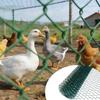 Легкая оцинкованная проволочная сетка с зеленым покрытием, гибкая, режущаяся, для легкого DIY-опоры для растений и защиты огорода