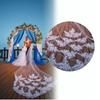 3 Meter Bridal Veil Lace Applique Metal Comb Fixing Ultra Long Bridal Drop Veil for Wedding Ivory