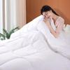Fuanna Soft & Comfort Fiber Comforter
