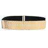 Women's Fashion Metal Elastic Belt with Fish Scale Pattern - Versatile Wide Elastic Waistband for Dresses