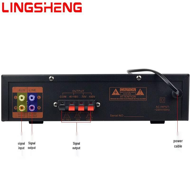 Lingsheng Bluetooth Мощный Профессиональный Вещательный Усилитель Штепсель CN (адаптер в комплекте)