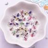 60pcs Mix Resin Cartoon Beautiful Colorful Bee Flatback Rhinestone Art Nail DIY Wedding Applique Decor DIY Craft Supplies