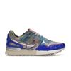 Кроссовки унисекс Air Pegasus 89 Golf NRG Phoenix Open Blue Racer-Blue Aquarius-Blue FJ2246-400