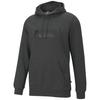 Essential Big Logo Hoody 586686-07, Мужские, Толстовки, серый