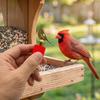 Hand Twisted Bird Call Trainer Realistic Bird Caller Creative Sound Maker  Outdoor Play