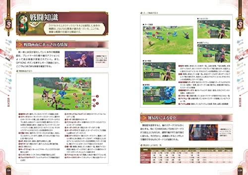 Atelier Ryza 3: The Alchemist of the End and the Secret Key - The Complete Guide