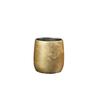 Mitani Yamanaka Lacquerware Lacquered Rock Daruma Diameter X Made In Tsubame (Mitani) (Shima) Double-Walled Tumbler, 250ml, Foil-Coated Cup, Design,