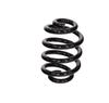 Ft11363 Fast Rear Suspension Spring