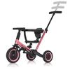 COLIBRO Children's Bike 6 in 1 TREMIXUP ROSE