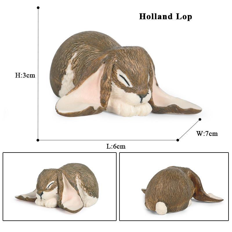 Oenux Lovely Farm Rabbit Bunny Model Action Figure Figurine Wild Desert Cottontail Hare Cute PVC Decoration Education Kid Toy