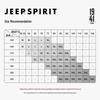 Мужской повседневный комплект: пуловер и шорты-бермуды JEEP SPIRIT