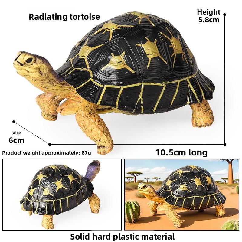 Модель морской жизни: кальмар, краб, черепаха, саламандра, рыба-сабля, лососевая акула для обучения детей