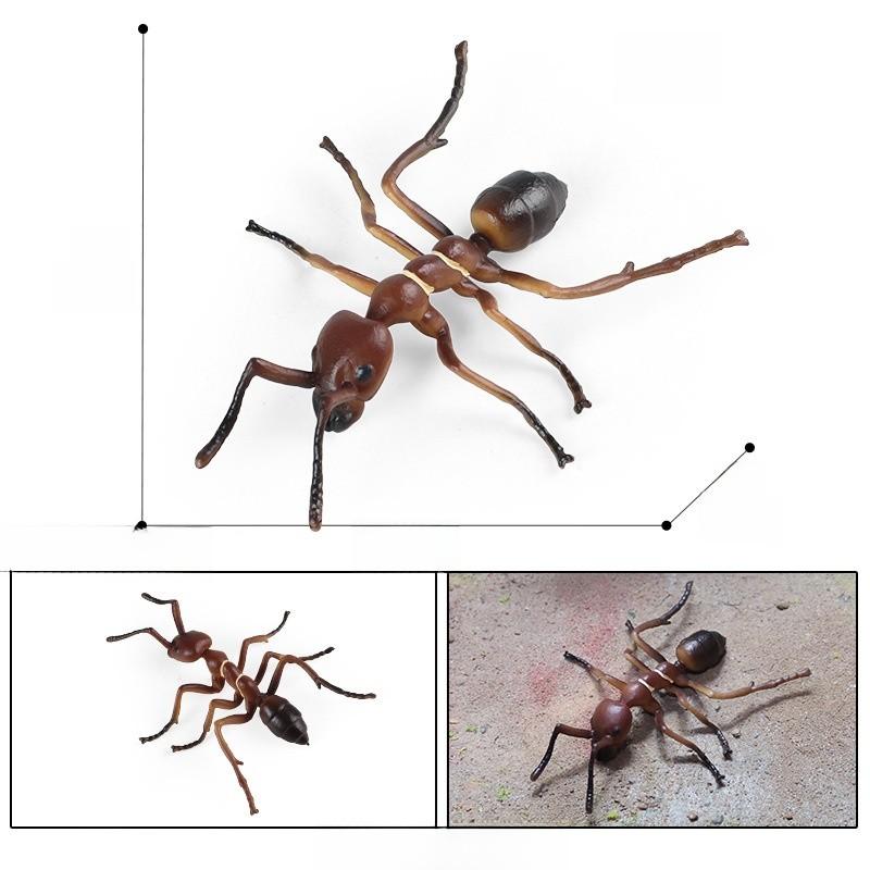 Насекомое Животное Образовательный Набор Моделей Пластиковые Фигурки Детское Обучение Школьное Домашнее