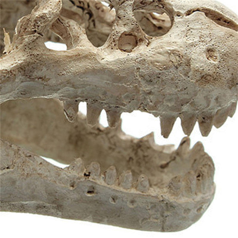 Смола крокодил череп террариум рептилия аквариум орнамент украшение аквариума