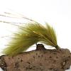 Bimoo 6PCS 6# Olive Copper Beadhead Zonker Fly Fishing Streamers