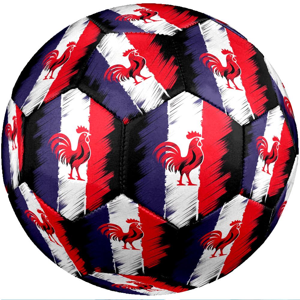 France national football team Theme soccer ball Size 5 Soccer Ball Soft Touch Professional Training Football for Outdoor Sports