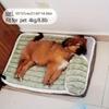 Зеленый мягкий моющийся коврик для собаки - Подушка для сна для собак на все сезоны, зимняя - Защита позвоночника