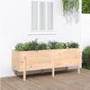 VidaXL Raised Garden Bed 160x50x57 Cm Solid Pine Wood 825219