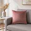 Solid Color Velvet Pillow Cover, Soft Plush Throw Pillow Case, 17.7x17.7 Inch Smooth Velvet Cushion Cover for Sofa, Bed, Office, Cozy Home Decor