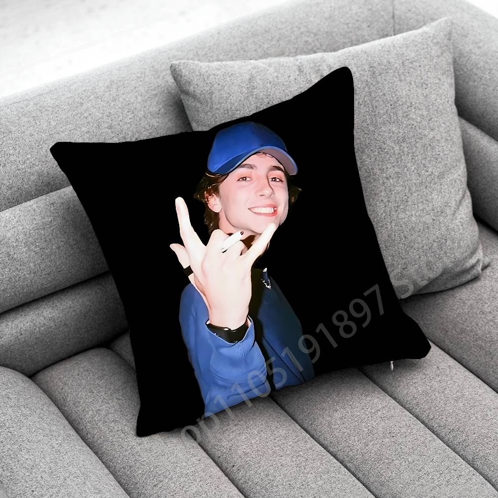 T-Timothee C-Chalamet Throw Pillow Case For 50Cm 30Cm 55Cm 45Cm 40Cm Square Bed Pillowcase Cover