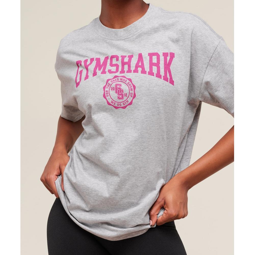 Gymshark CollegiaTe Graphic T shirT lighT Grey Core Marl B3c4g Gbcn