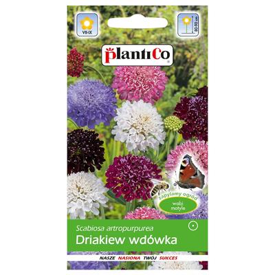 Смесь семян цветов Drakiew wdówka 0,5г для сада
