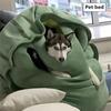 Забавные очень большие носимые подушки в виде панциря черепахи, утяжеленный костюм плюшевого животного, плюшевая игрушка, забавное одевание, подарок для детей и взрослых