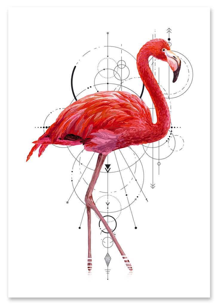 Плакат с розовым фламинго геометрия