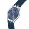 Swatch COOL SKIES SKIN CLASSIC BIOSOURCED Наручные часы SS08K120M