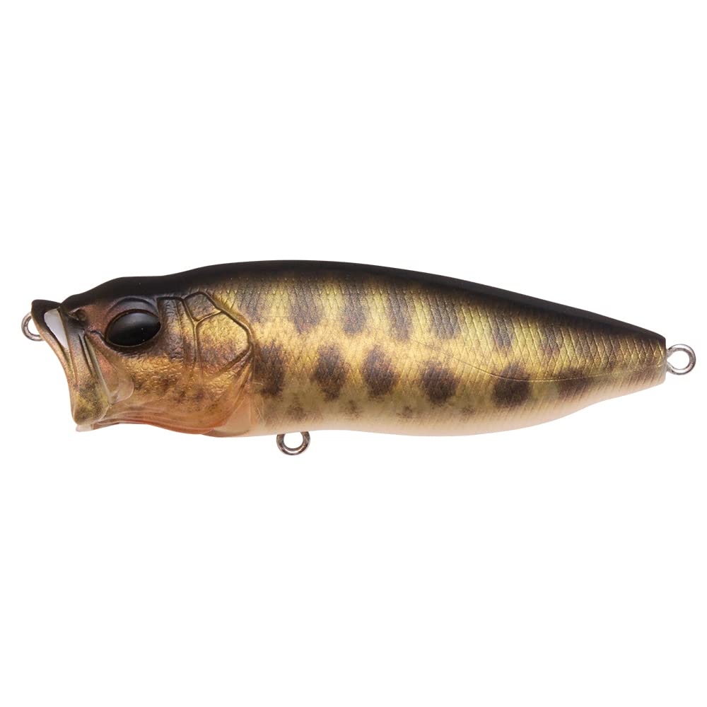 Megabass POPMAX FA