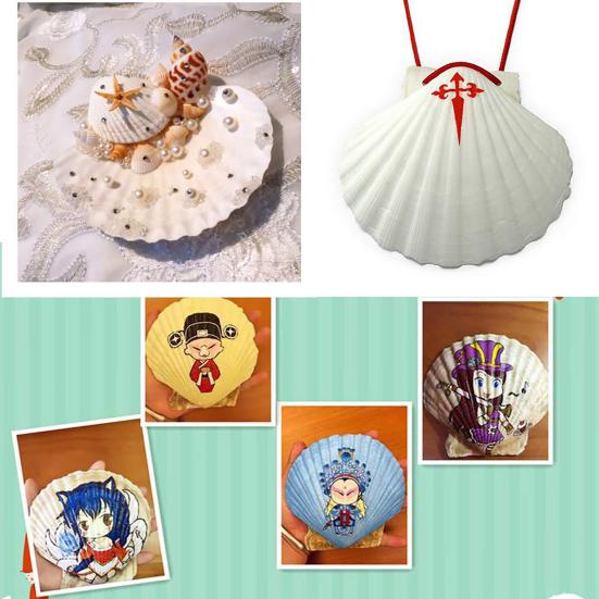 10Pcs Natural Scallop Shells DIY Crafts Theme Party Decor Bright White Seashells Jewelry Christmas Decoration