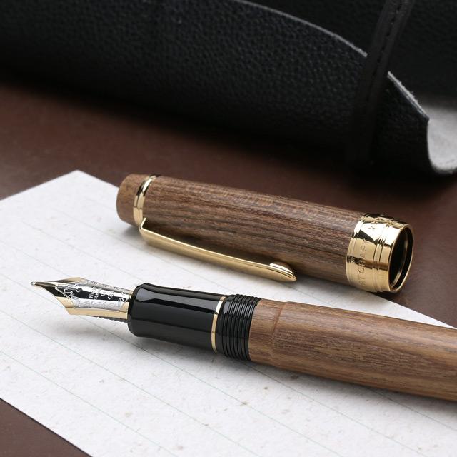 PILOT CUSTOM ENJYU Styphnolobium Medium Nib FKV-5MK-ME-M